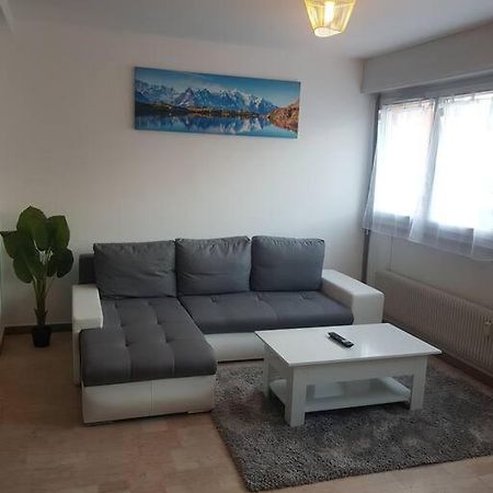 Magnifique T2 Au Centre Ville Клюз Экстерьер фото